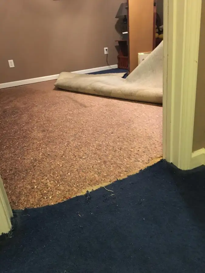 Carpet pad removal revealing water damage during Drying & Dehumidification in Janesville