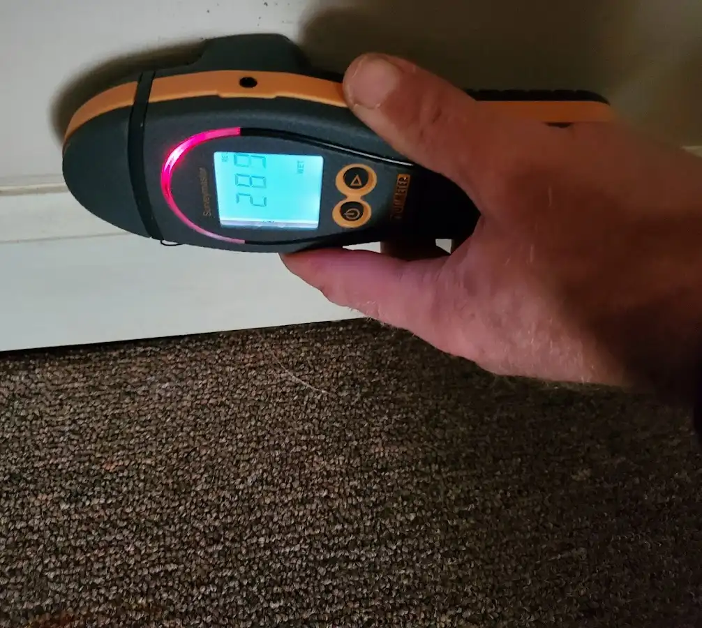 Moisture detection at baseboard during Mold Inspection & Testing in Janesville
